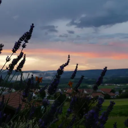 Апартаменты Modernes In Dorn Mit Terrasse *