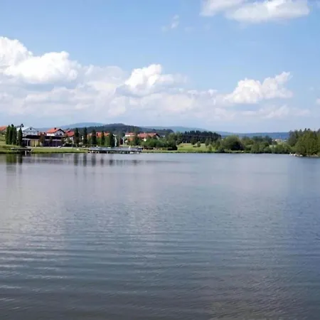 Apartment Flat With Private Terrace In The Bavarian Forest *