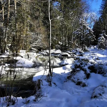Flat With Private Terrace In The Bavarian Forest Waldkirchen