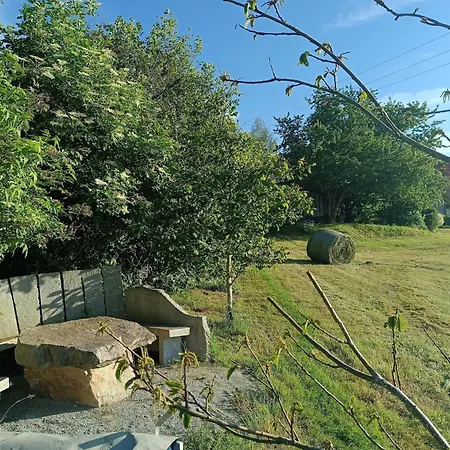 Modernes In Dorn Mit Terrasse Апартаменты