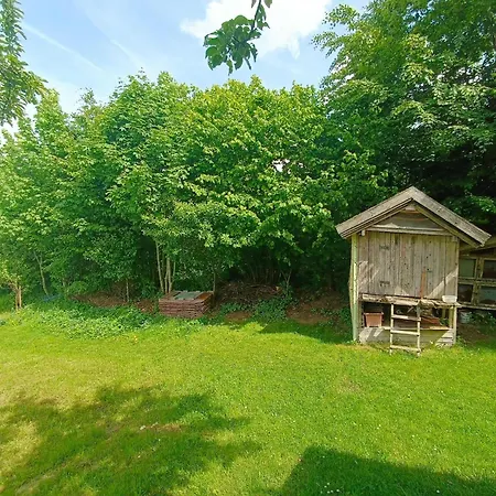 Modernes In Dorn Mit Terrasse *