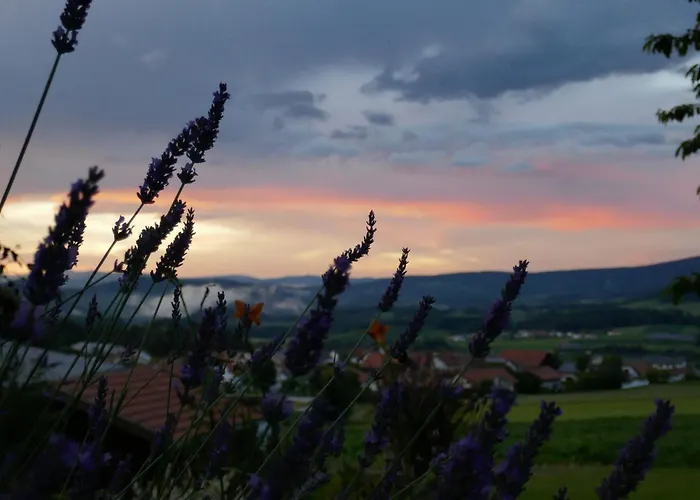 Apartament Modernes In Dorn Mit Terrasse *